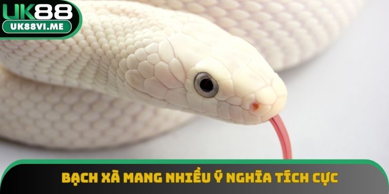 Bạch xà mang nhiều ý nghĩa tích cực