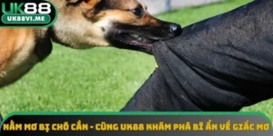 Nằm Mơ Bị Chó Cắn